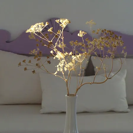 Solaris 2* Folégandros